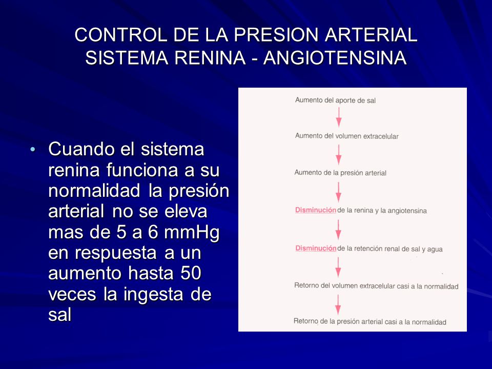 El aumento del volumen sistólico aumenta o disminuye la presión arterial El aumento del volumen sistólico aumenta o disminuye la presión arterial